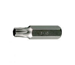teng tools grot wymienny tx30 z chwytem 10mm dł. 40mm 101870400